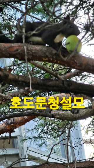 장철식님의 자유주제 · 자유게시판 작성글 사진