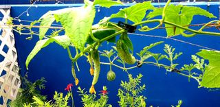 이종성님의 자유주제 · 자유게시판 작성글 사진