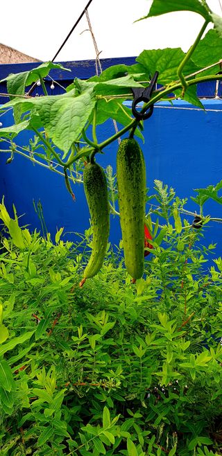 이종성님의 자유주제 · 자유게시판 작성글 사진