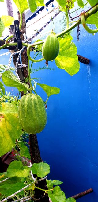 이종성님의 자유주제 · 자유게시판 작성글 사진