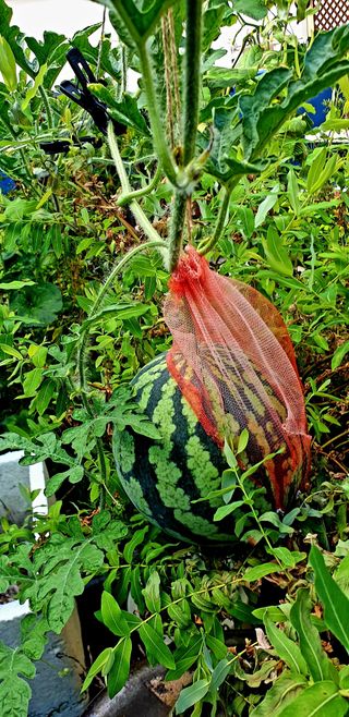 이종성님의 자유주제 · 자유게시판 작성글 사진