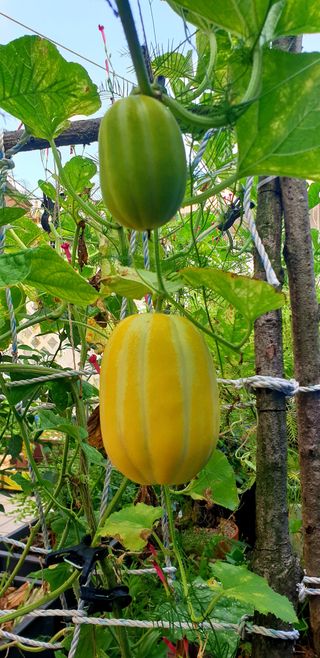 이종성님의 자유주제 · 자유게시판 작성글 사진