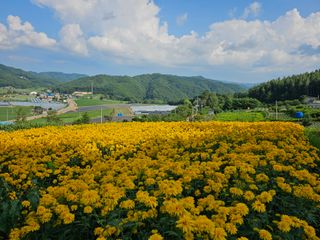 홍천산채농원님의 자유주제 · 자유게시판 작성글 사진