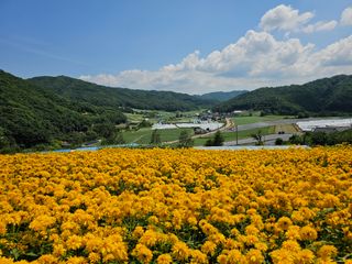 홍천산채농원님의 자유주제 · 자유게시판 작성글 사진