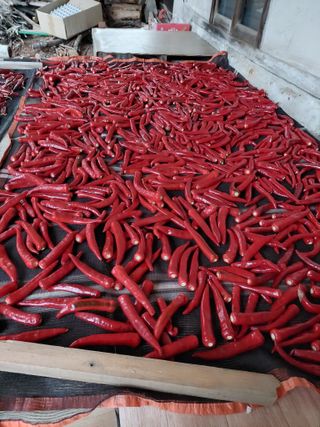 황대헌님의 자유주제 · 자유게시판 작성글 사진