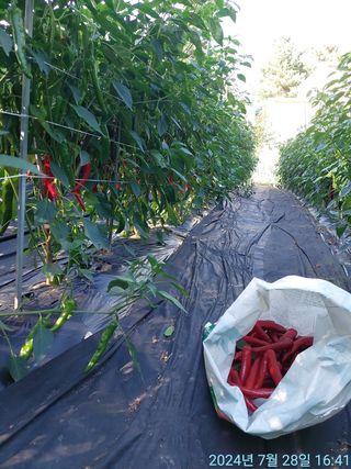 황대헌님의 자유주제 · 자유게시판 작성글 사진