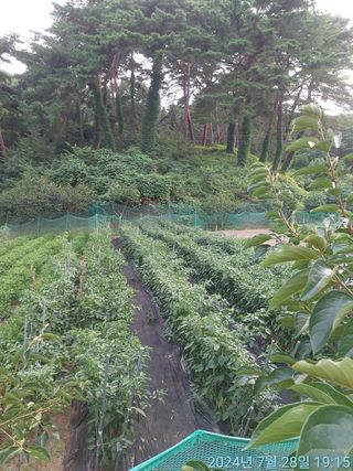 황대헌님의 자유주제 · 자유게시판 작성글 사진