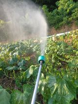 팜모닝 자유주제·자유게시판 게시글 이미지