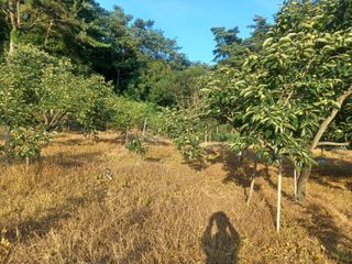 대구 바이오님의 자유주제 · 자유게시판 작성글 사진