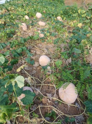 대구 바이오님의 자유주제 · 자유게시판 작성글 사진