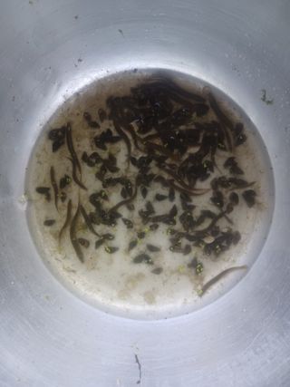 대구 바이오님의 자유주제 · 자유게시판 작성글 사진