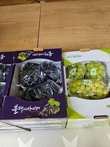 팜모닝 자유주제·자유게시판 게시글 이미지