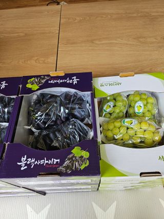 최지훈님의 자유주제 · 자유게시판 작성글 사진