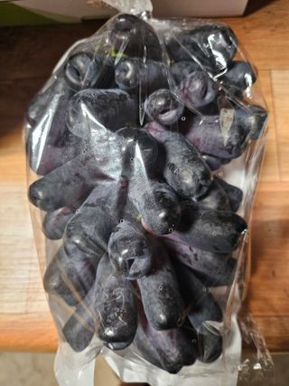 최지훈님의 자유주제 · 자유게시판 작성글 사진