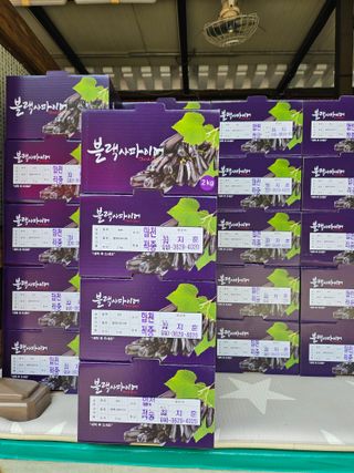 최지훈님의 자유주제 · 자유게시판 작성글 사진