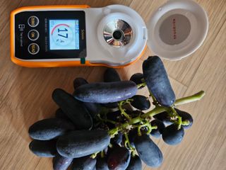 최지훈님의 자유주제 · 자유게시판 작성글 사진