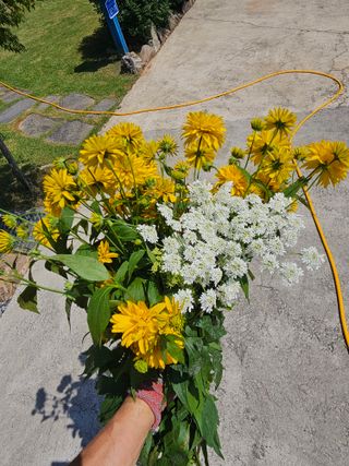 홍천산채농원님의 자유주제 · 자유게시판 작성글 사진