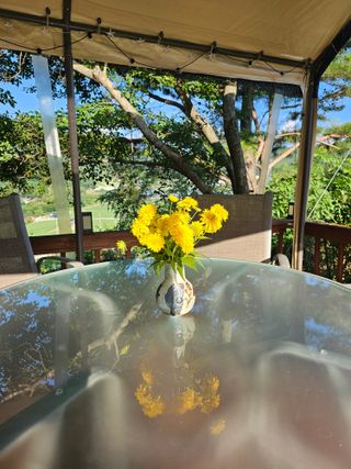 홍천산채농원님의 자유주제 · 자유게시판 작성글 사진