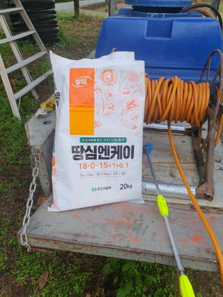 반시님의 감 · 영농일지 작성글 사진