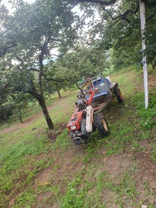 반시님의 감 · 영농일지 작성글 사진