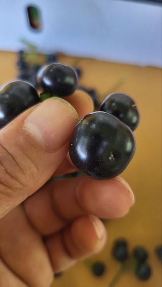 방촌대장님의 자유주제 · 자유게시판 작성글 사진