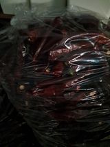 팜모닝 자유주제·자유게시판 게시글 이미지