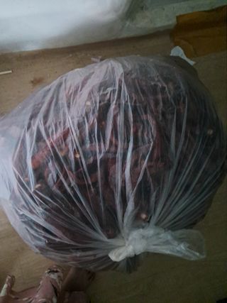 유경희님의 자유주제 · 자유게시판 작성글 사진