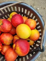 팜모닝 자유주제·자유게시판 게시글 이미지