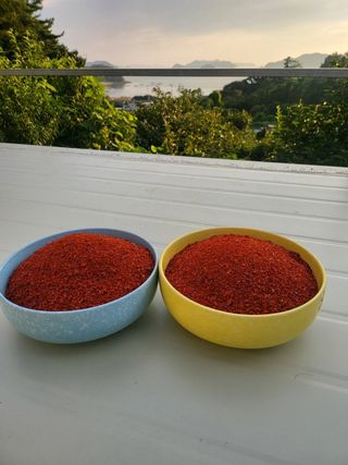 고추농사 정 미라님의 자유주제 · 자유게시판 작성글 사진