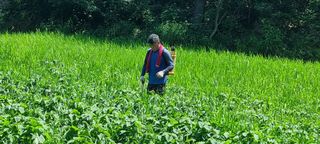 보민님의 들깨 · 영농일지 작성글 사진