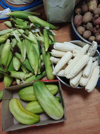 농사정보배우고싶어요님의 자유주제 · 자유게시판 작성글 사진