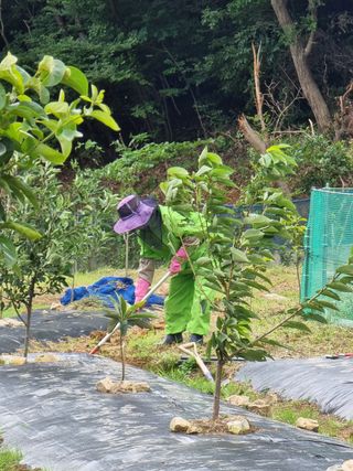 윤승희님의 팜모닝 · 출석 작성글 사진