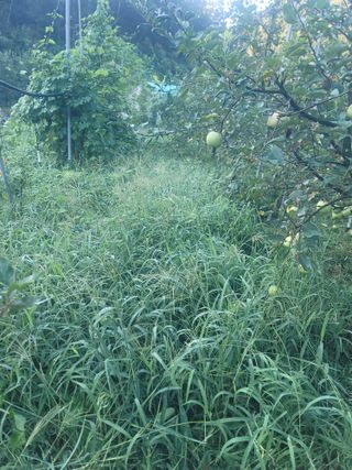 김성명님의 사과 · 영농일지 작성글 사진