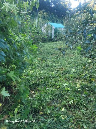 김성명님의 사과 · 영농일지 작성글 사진