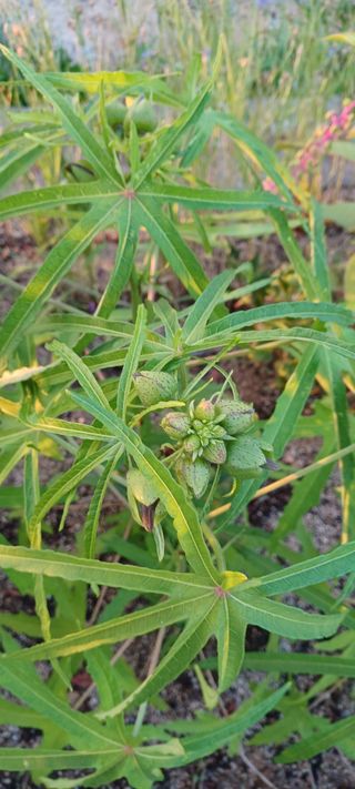 고풍마님님의 자유주제 · 자유게시판 작성글 사진