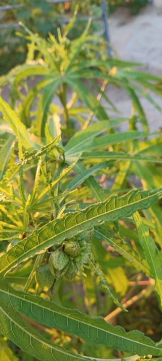 고풍마님님의 자유주제 · 자유게시판 작성글 사진