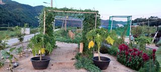 고풍마님님의 자유주제 · 자유게시판 작성글 사진