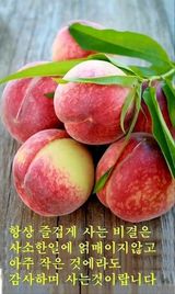 팜모닝 자유주제·자유게시판 게시글 이미지