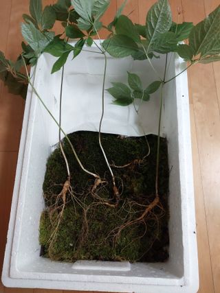 김봉호님의 작성글 사진