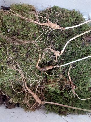 김봉호님의 작성글 사진