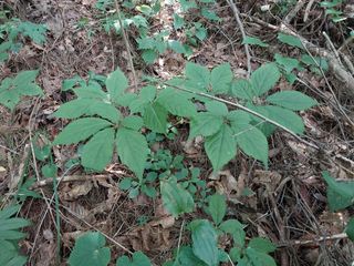 김봉호님의 작성글 사진