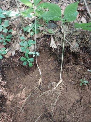 김봉호님의 작성글 사진