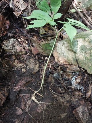 김봉호님의 작성글 사진