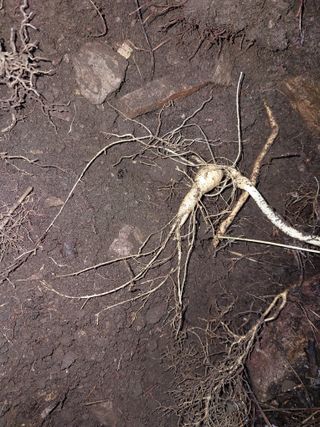 김봉호님의 작성글 사진