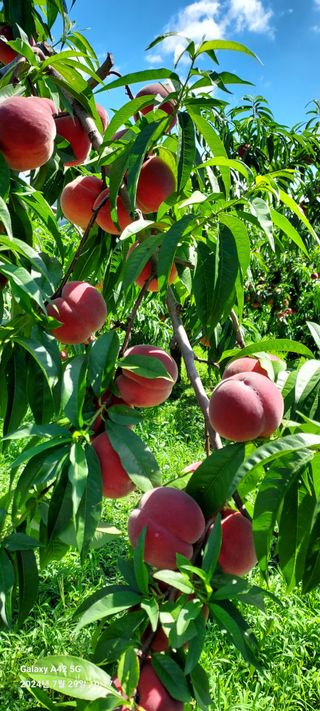 윤인원님의 자유주제 · 사진전 작성글 사진