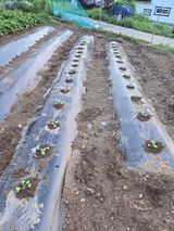 팜모닝 자유주제·자유게시판 게시글 이미지