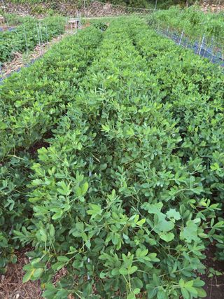 오나윤님의 자유주제 · 자유게시판 작성글 사진