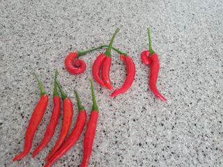 블루베리14534님의 자유주제 · 자유게시판 작성글 사진