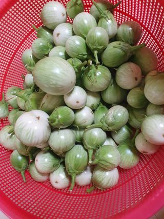 블루베리14534님의 자유주제 · 자유게시판 작성글 사진