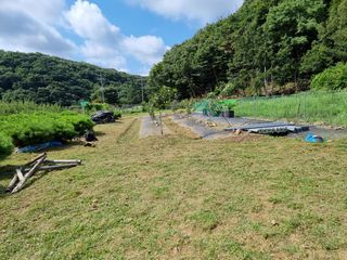 윤승희님의 팜모닝 · 출석 작성글 사진